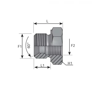 REDUCING BUSH MALE BSPP – FIXED FEMALE BSPP